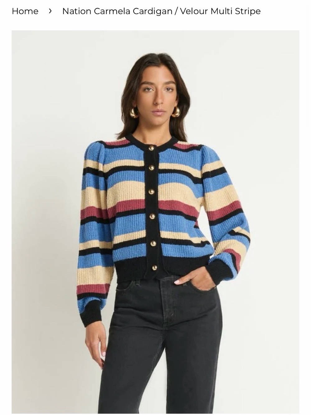 Nation LTD Blue Carmela Cardigan Velour Sweater